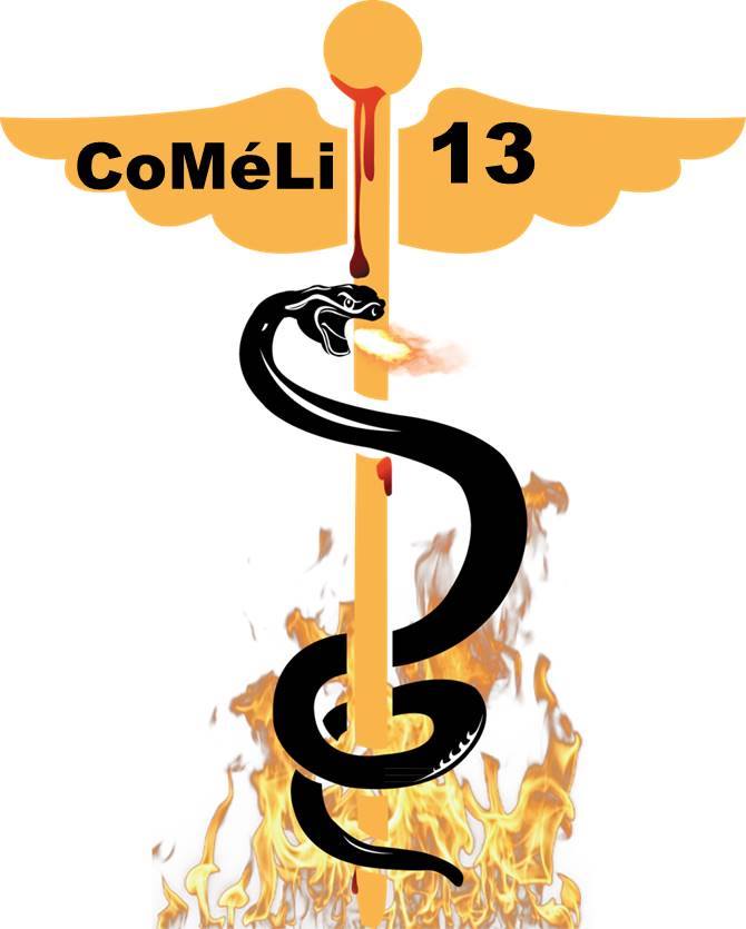 comeli 13 logo